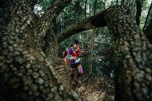 BIB: 
                            <button type="button" onclick="openModal(25391906)" class="btn btn-primary btn-sm float-right btn-popup" data-toggle="modal" data-target=".modal-high-quality">
                        <i class="fas fa-shopping-cart"></i> Add to Cart
                    </button>
                                            <button type="button" onclick="isThisMe(25391906, true)" class="btn btn-success btn-sm float-right btn-popup btn-isme hidden" data-toggle="tooltip" data-placement="bottom" title="นี่คือรูปของคุณใช่ไหม คลิกที่นี่เพื่อเอาเข้าอัลบั้ม">
                        <i class="fas fa-plus"></i> Add to album
                    </button>
                    <button type="button" onclick="isThisMe(25391906, false)" class="btn btn-warning btn-sm float-right btn-popup btn-isnotme hidden">
                        <i class="fas fa-ban"></i> Remove from album
                    </button>